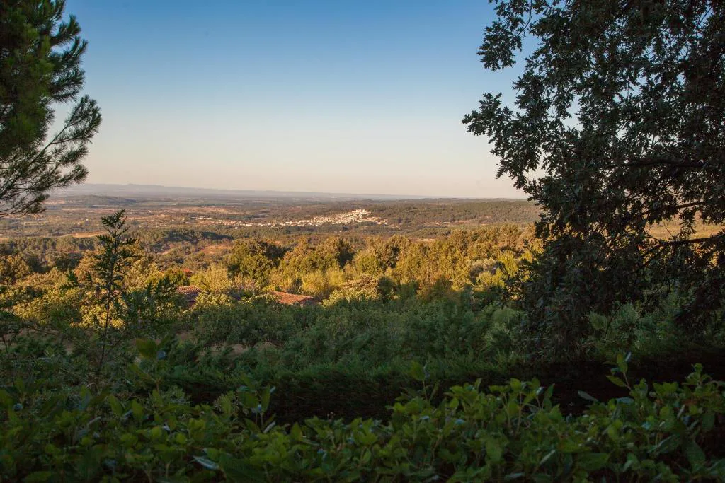 Vista al atardecer sobre el valle entre encinas