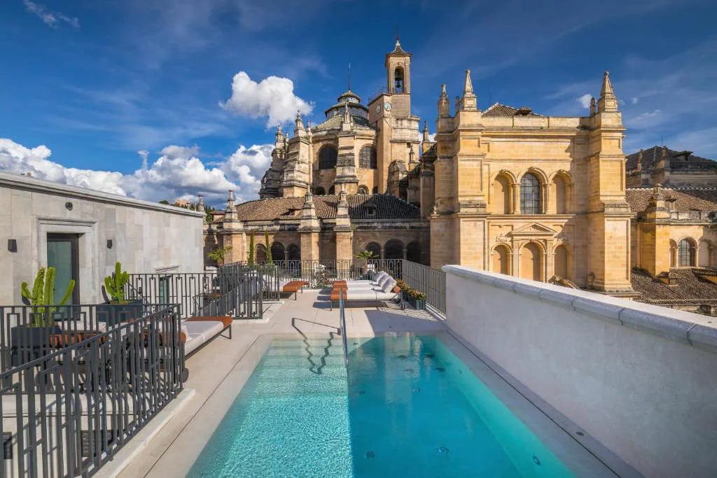 Piscina alargada en la azotea con la Catedral de Granada al fondo