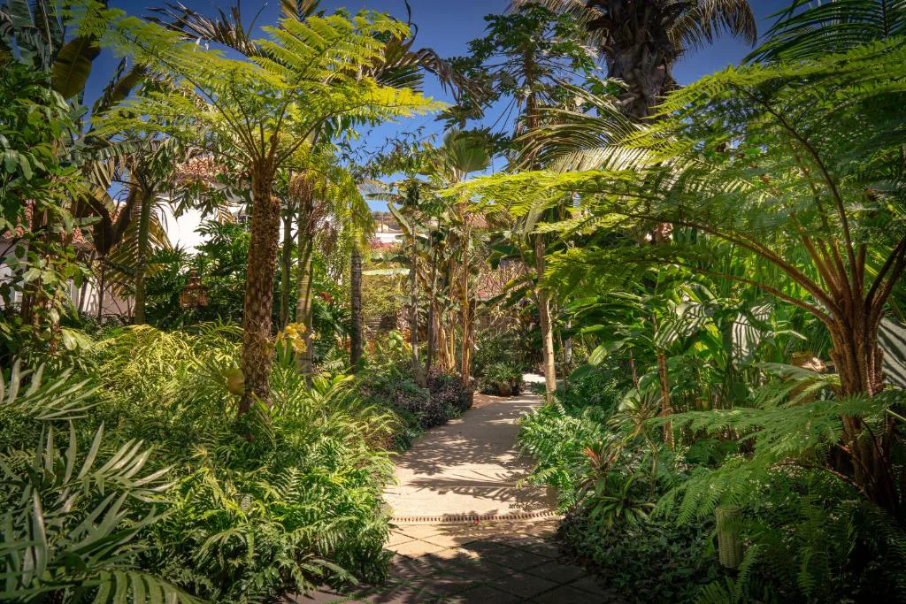 Sendero entre helechos y palmeras del jardín tropical, Hacienda de Abajo