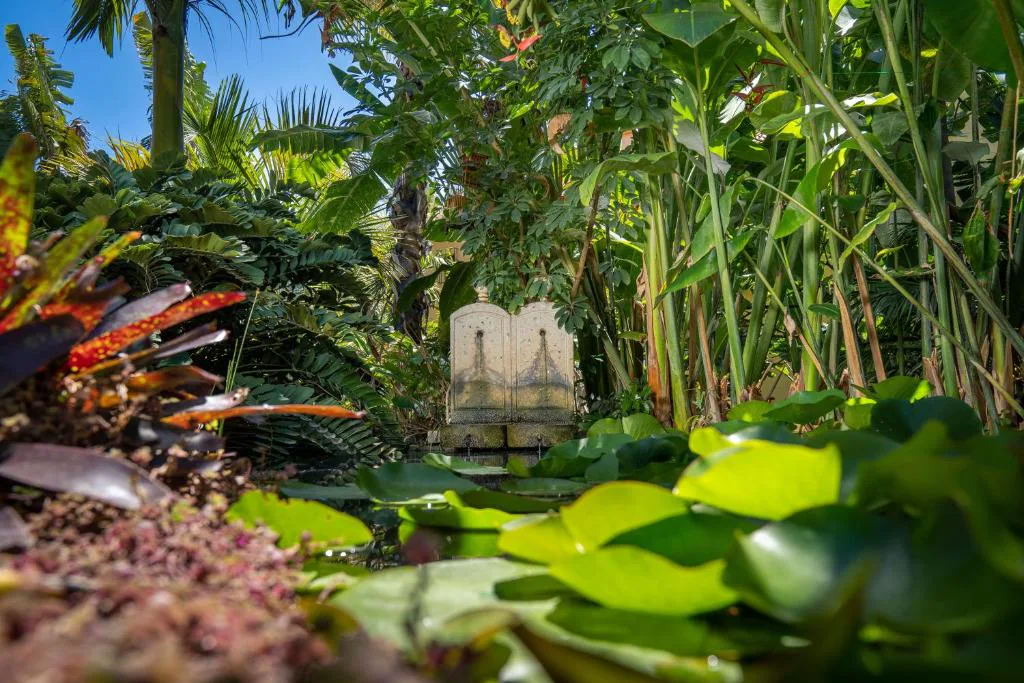Fuente de piedra entre nenúfares en el jardín botánico, Hacienda de Abajo