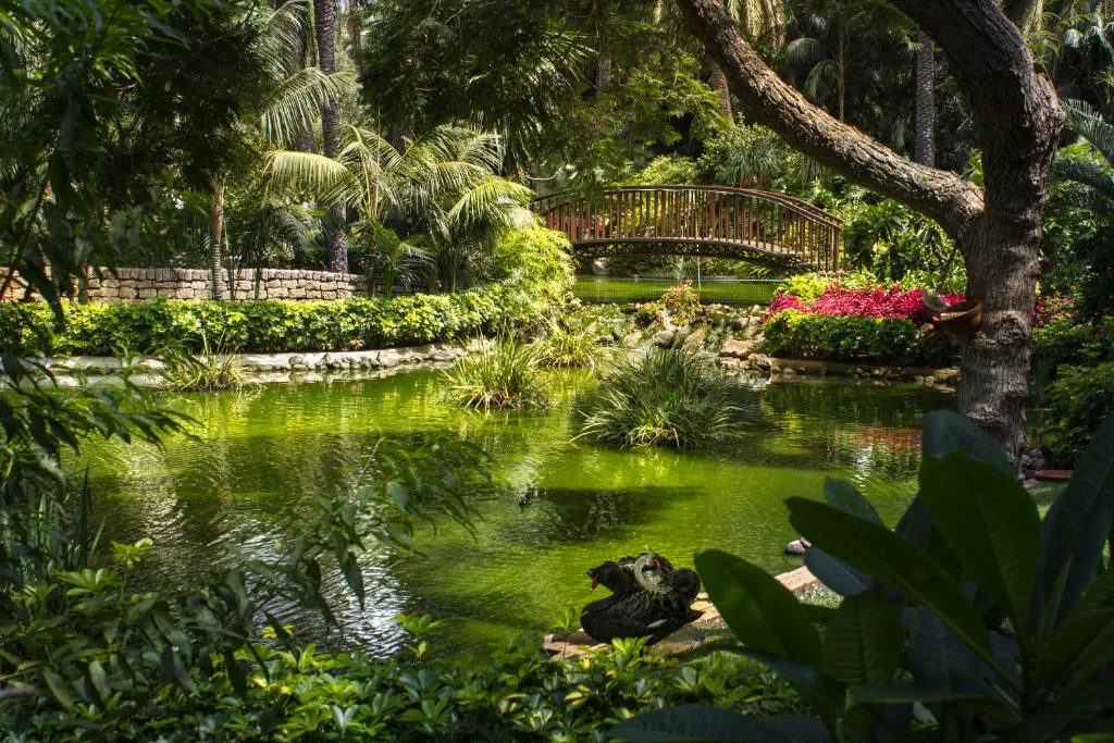 Jardín asiático con estanque y puente rojo entre palmeras, Hotel Botanico