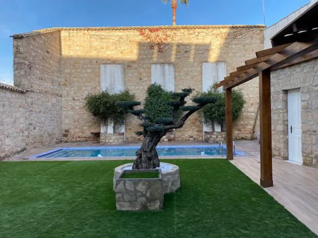 Patio con piscina, césped y un olivo junto a un muro de piedra