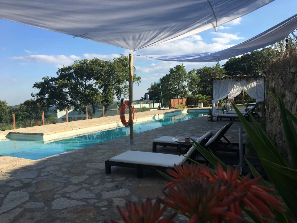 Piscina rodeada de pinos y una cama balinesa blanca