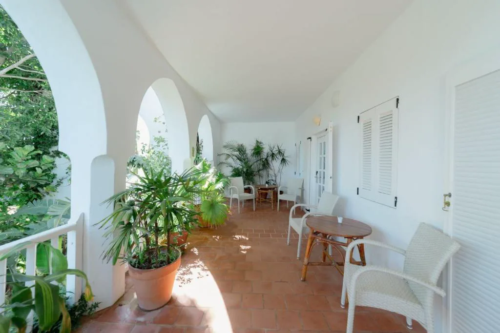 Pasillo de arcos blancos con plantas