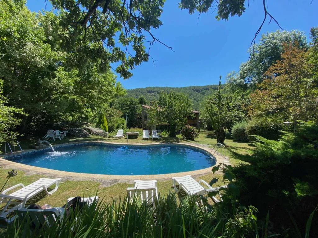 Piscina ovalada entre césped, pinos y tumbonas