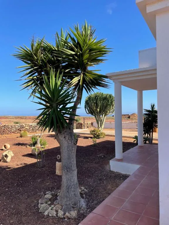 Jardín de cactus y palmera junto al porche de la casa, La Caldereta Casa Rural