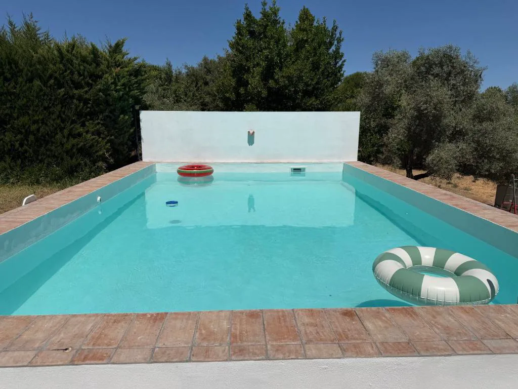Piscina azul con un flotador de flamenco junto a la casa