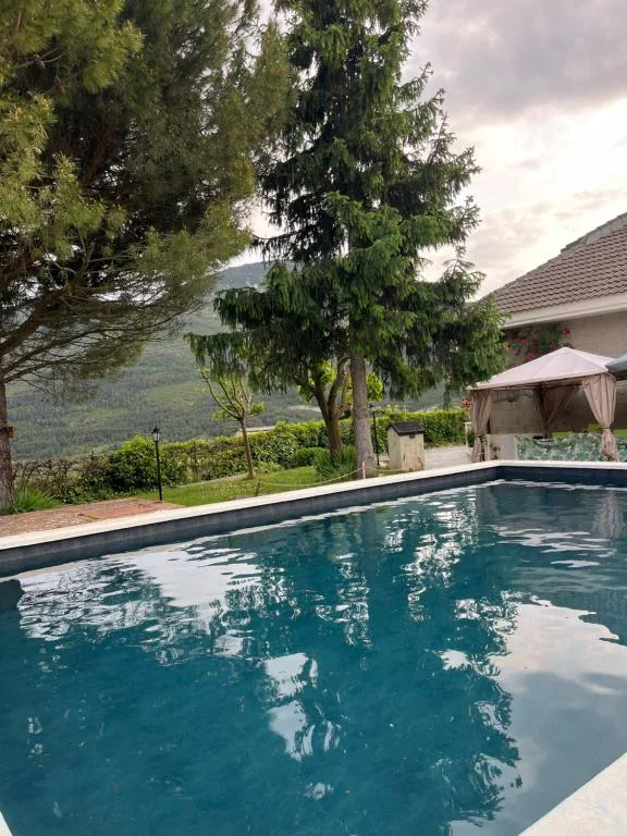 Piscina entre pinos con montañas al fondo