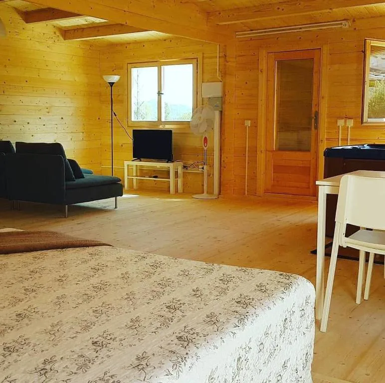 Salón de madera con sofás y alfombra