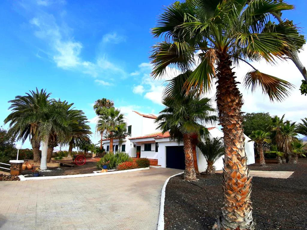 Entrada de la villa con camino de palmeras y jardín de piedra volcánica, Los Fondos
