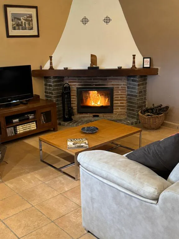 Salón con chimenea encendida y sofás