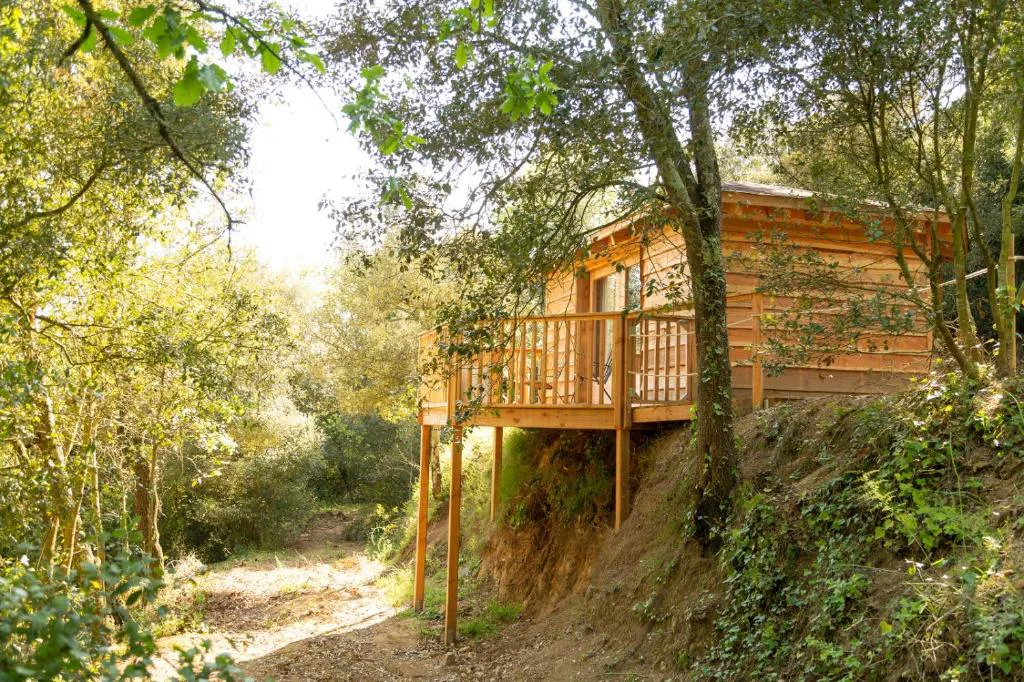 Cabaña de madera elevada en el bosque