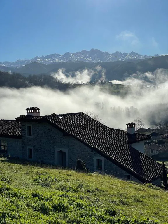 Amanecer con niebla y vacas asturianas junto al pueblo de Labra, Cangas de Onís