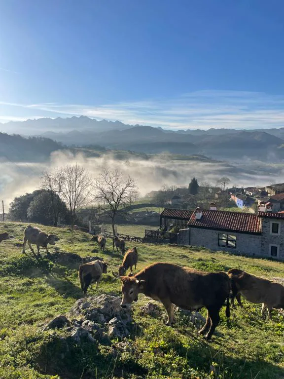 Casona de piedra tradicional entre niebla con los Picos de Europa nevados al fondo, Labra