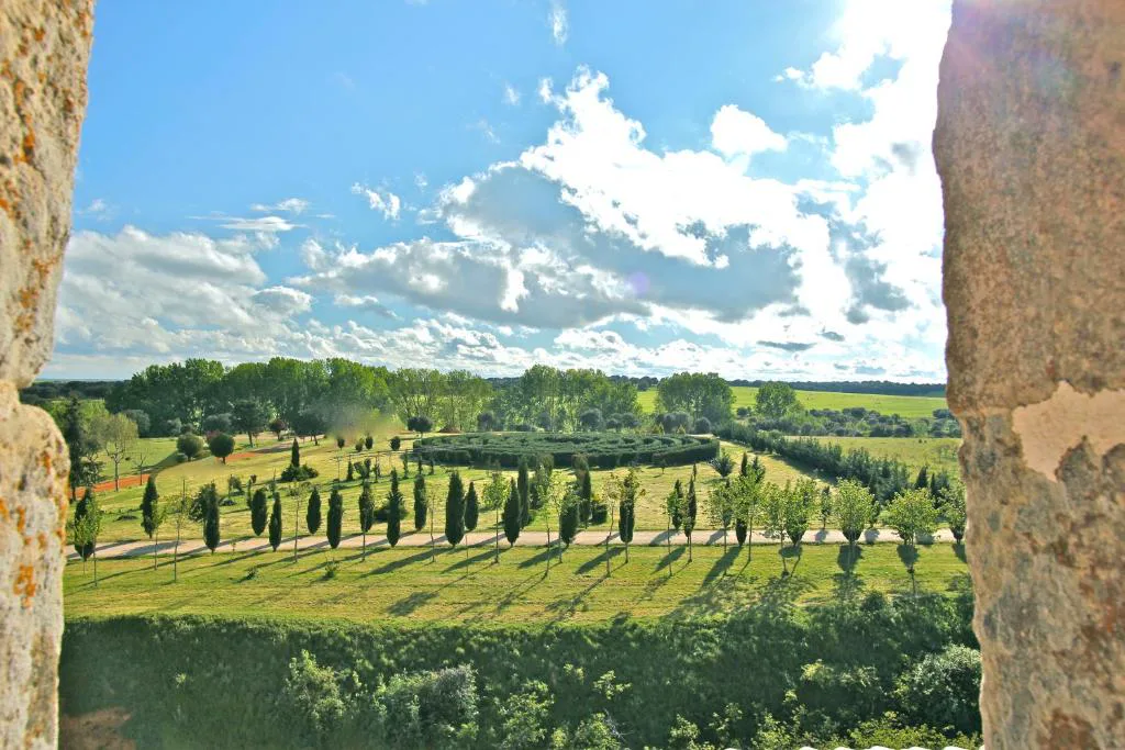 Viñedos y campos vistos desde el castillo