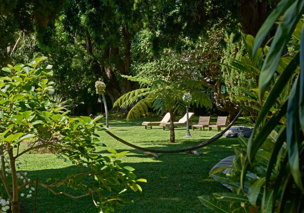 Hamaca entre helechos arbóreos en el jardín de Quintinha Sao Joao
