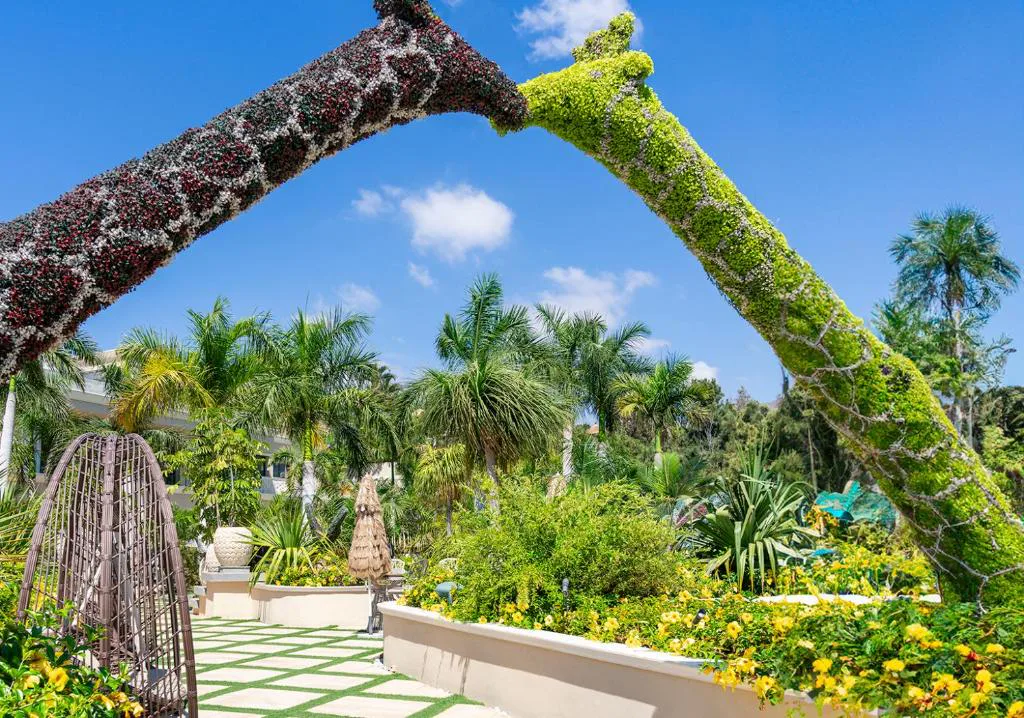 Arco floral de topiaria en el jardín tropical del hotel, Royal River Adeje