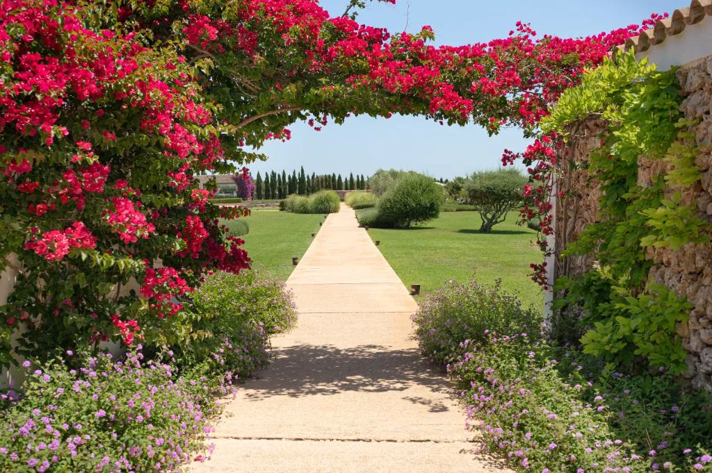 Arco de buganvillas junto al jardín de césped y cipreses, Torralbenc