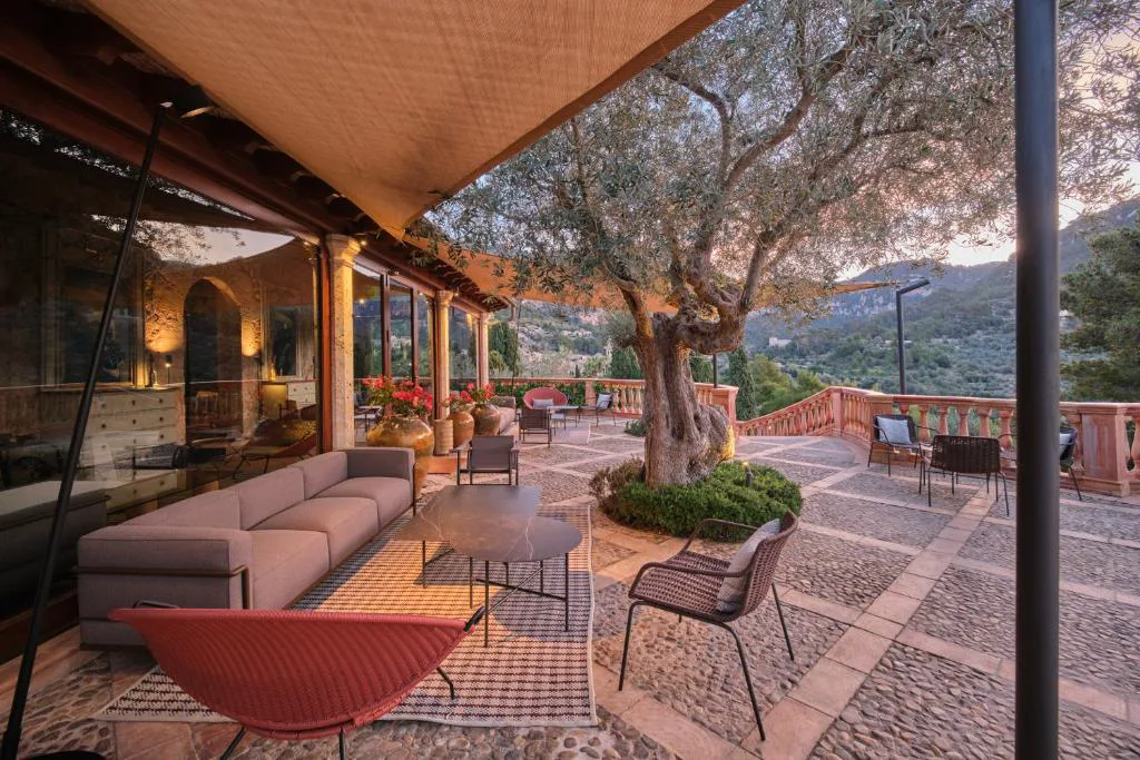 Terraza exterior con olivo centenario y vistas al atardecer, Valldemossa Hotel