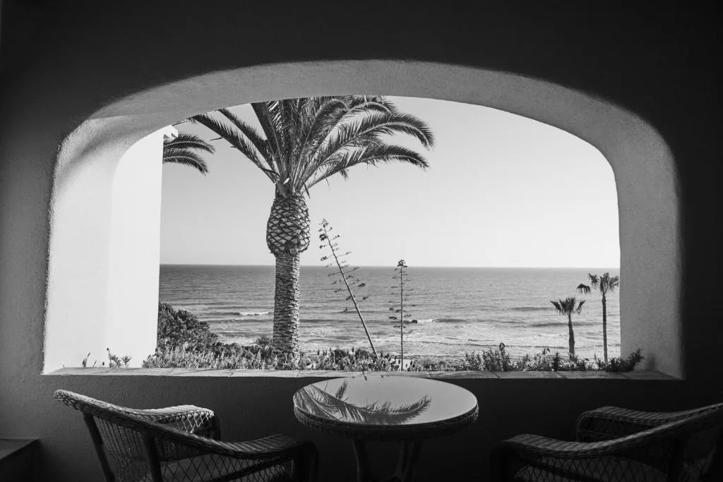 Vista en blanco y negro de una palmera y el océano desde un balcón abovedado, Vila Joya