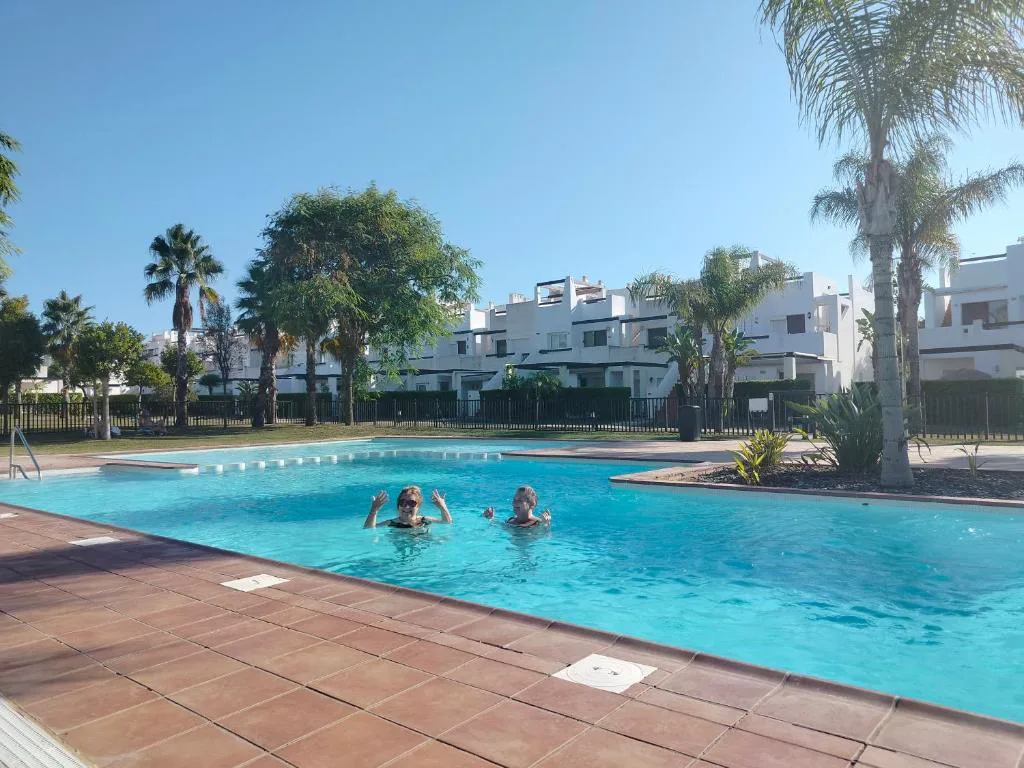 Piscina comunitaria con palmeras y bloques blancos al fondo