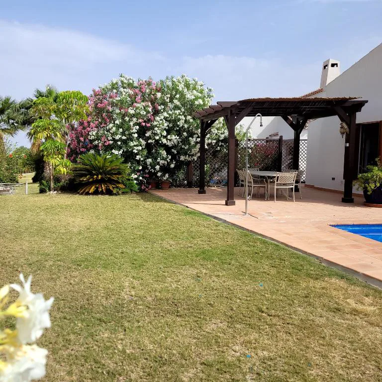 Jardín con césped y pérgola