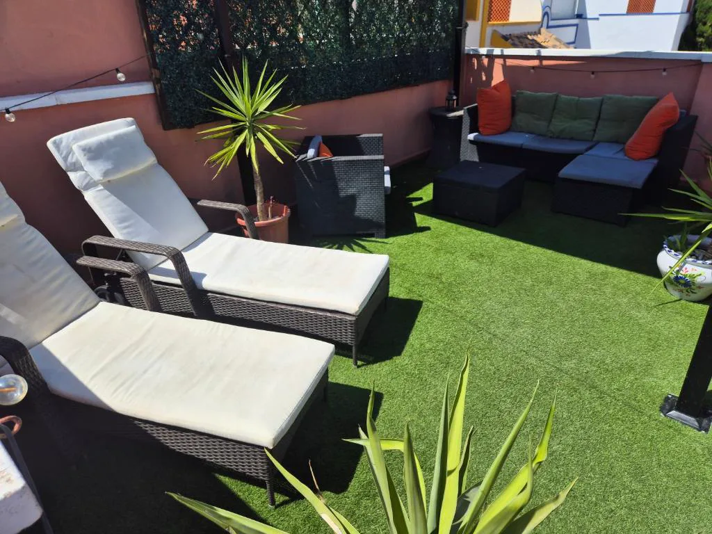 Terraza con tumbonas y plantas sobre césped
