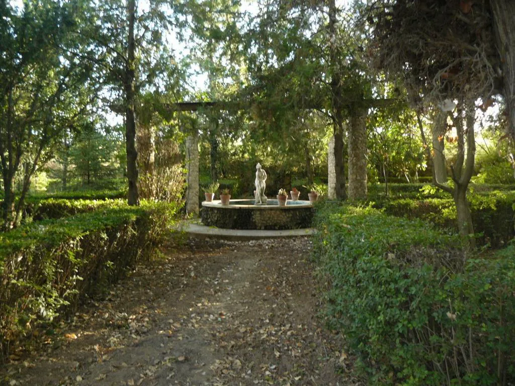 Camino de jardín entre árboles y setos