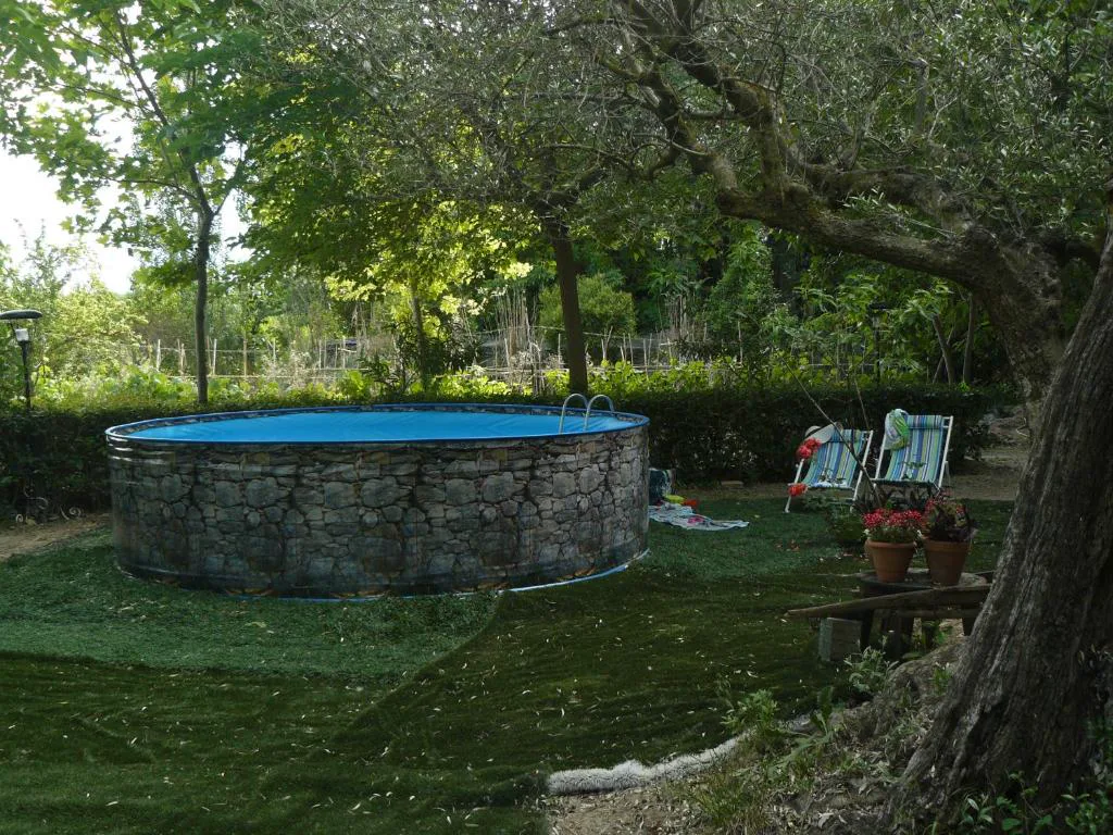 Piscina desmontable redonda entre árboles